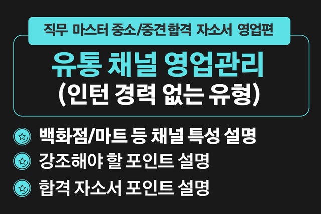 유통 채널 영업관리 합격 자소서(중소/중견 기업 마스터 자소서)