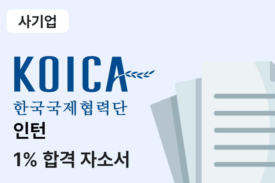 코이카 인턴 합격 자소서 
