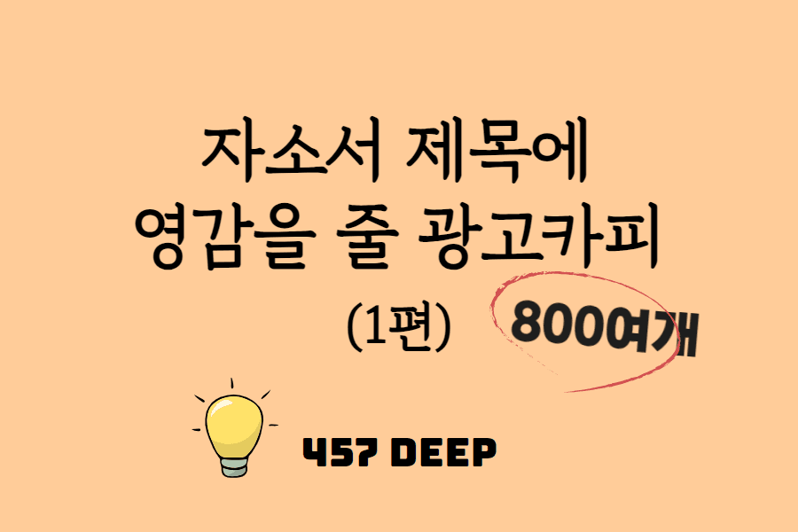 자소서 제목에 영감을 줄 광고 카피 800여개 1편