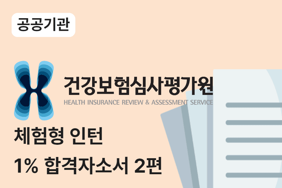 심평원 체험형 인턴 합격 자소서 2편