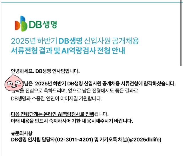 db생명 서류합격